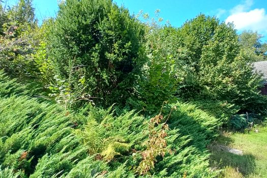 nieruchomość gruntowa 1900m2 w Mnikowie z domem do kapitalnego remontu