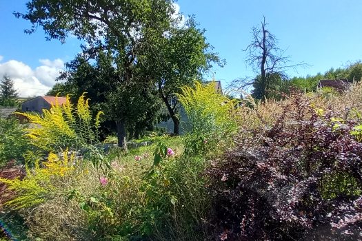 nieruchomość gruntowa 1900m2 w Mnikowie z domem do kapitalnego remontu